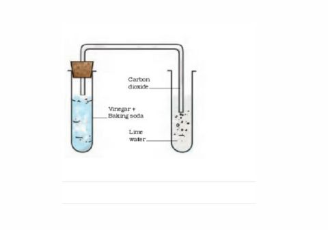 untitled design (28)