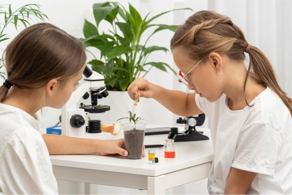 untitled design (32)