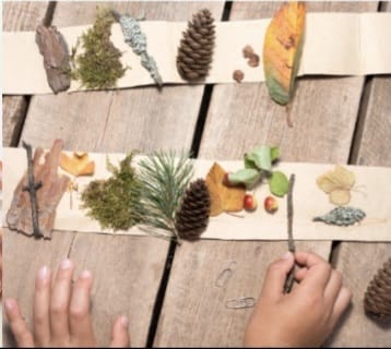 whatsapp image 2025 11 16 at 17.39.22 cf75ea00