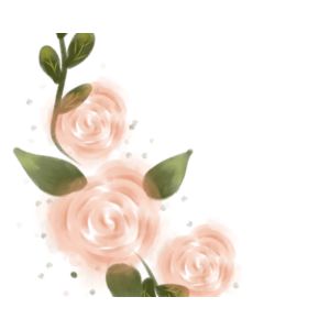 {typeelementor,siteurlhttpsmanjulacreation.comwp json,elements[{idd880e73,eltypewidget,isinnerfalse,islockedfalse,settings{title4. times table (1)